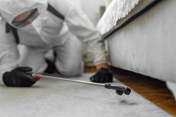 Professional Termite Control technician working in Marmora, NJ